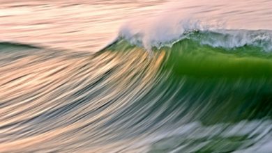 wave_large- green