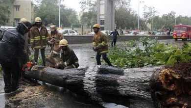 cyclone-vardah