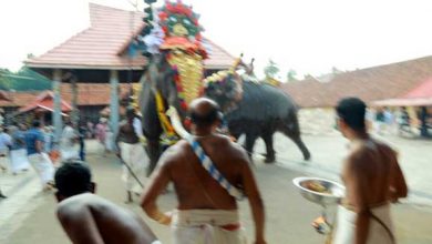 Elephant-crazy-at-Alapuzha