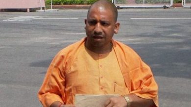 yogi