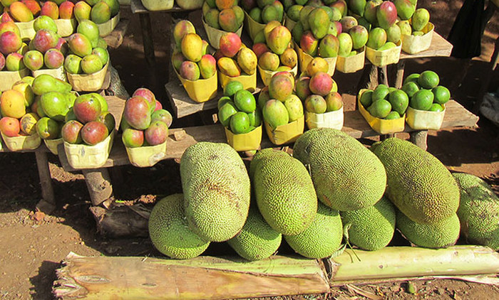 Jackfruit-mangoes