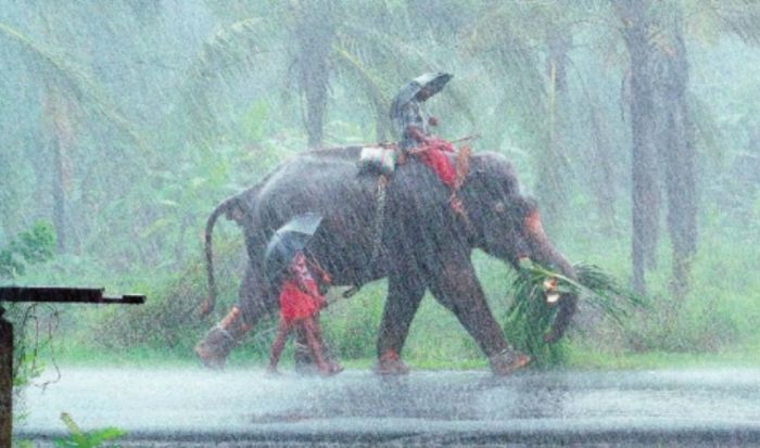 Rain kerala