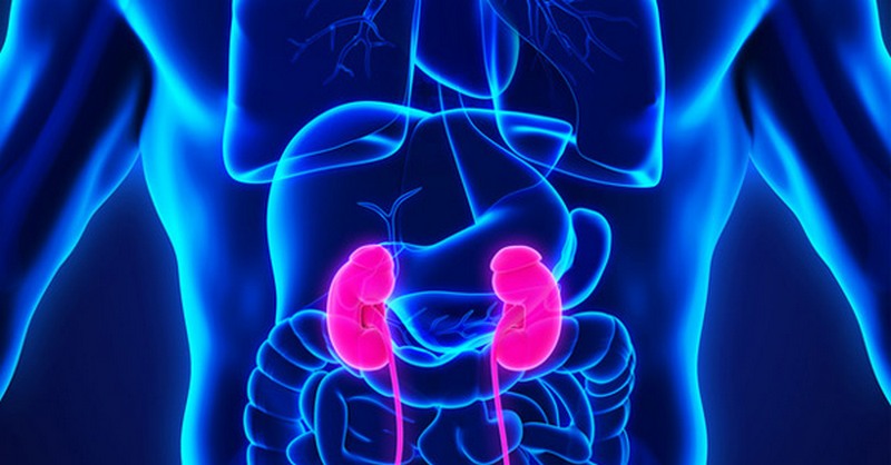 Kidney Disease