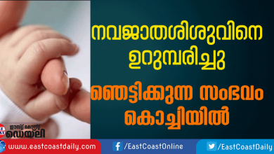 ants-found-eating-new-born-baby-at-kalamassery-medical-college