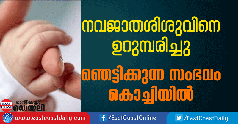 ants-found-eating-new-born-baby-at-kalamassery-medical-college