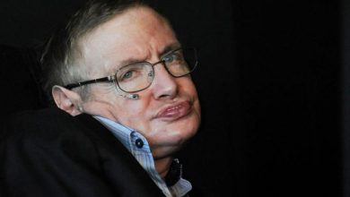 Stephen hawking