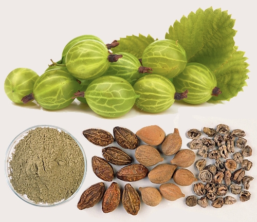 triphala-