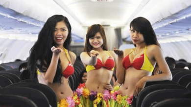 vietnams-bikini-airline-to-be-launched-in-india-soon