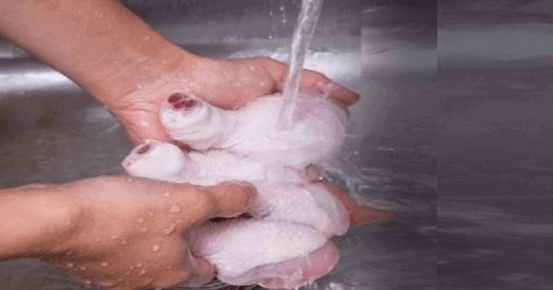 washing chicken