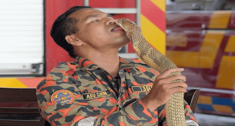 snake hunter dead