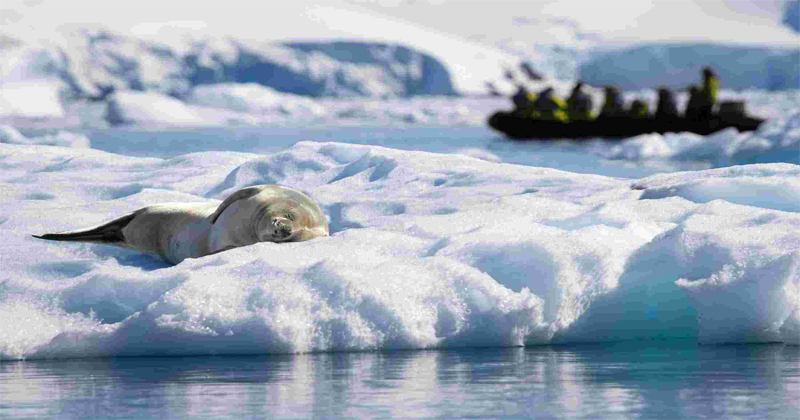 AGRICULTURE IN ANTARTICA