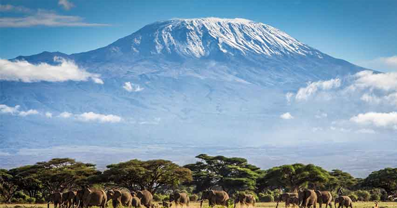 Mount Kilimanjaro travelogue