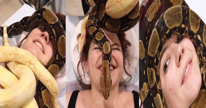 snake massaging video viral