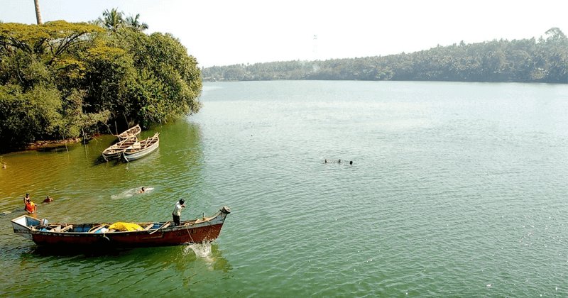 chaliyar river