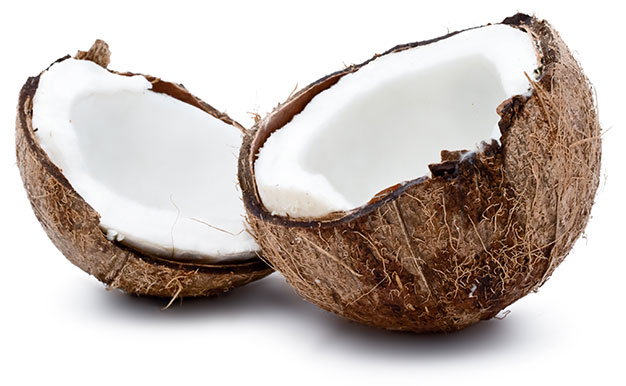 coconut