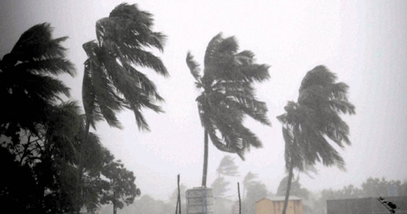 kerala wind