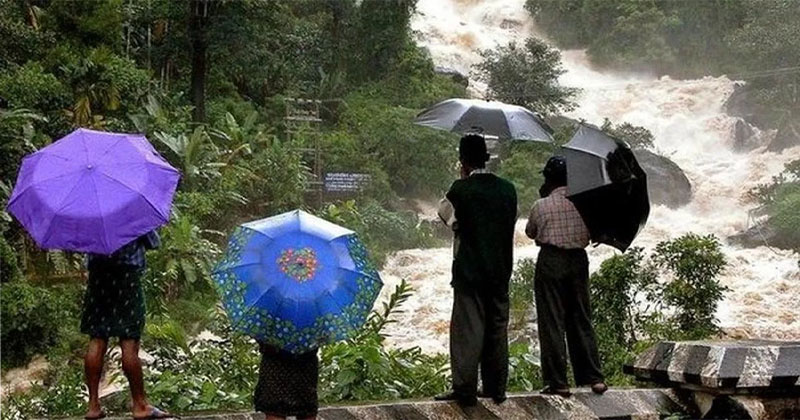 heavy rain death toll rises