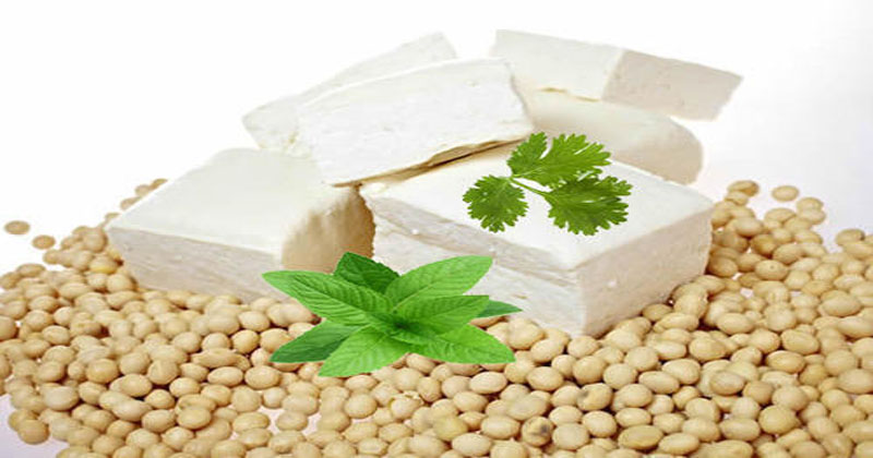 soy and tofu for health