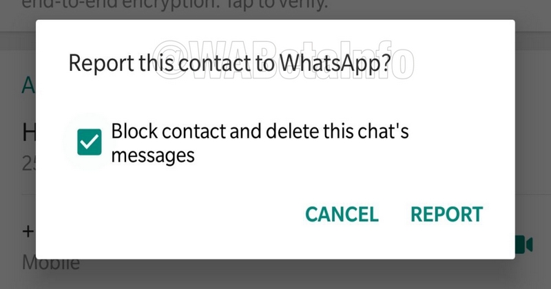 whats app new feature