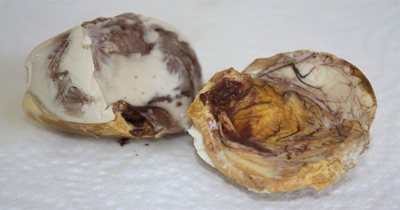 egg balnut