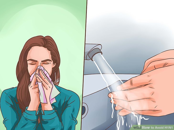 H1N1