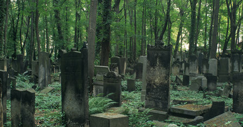 cemetery