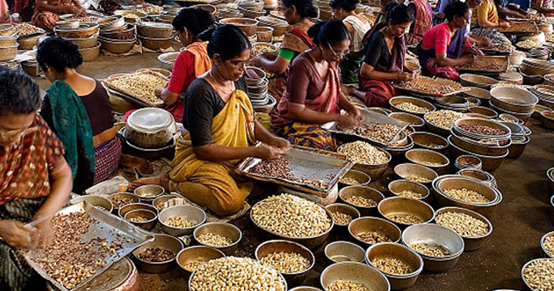 cashew workers