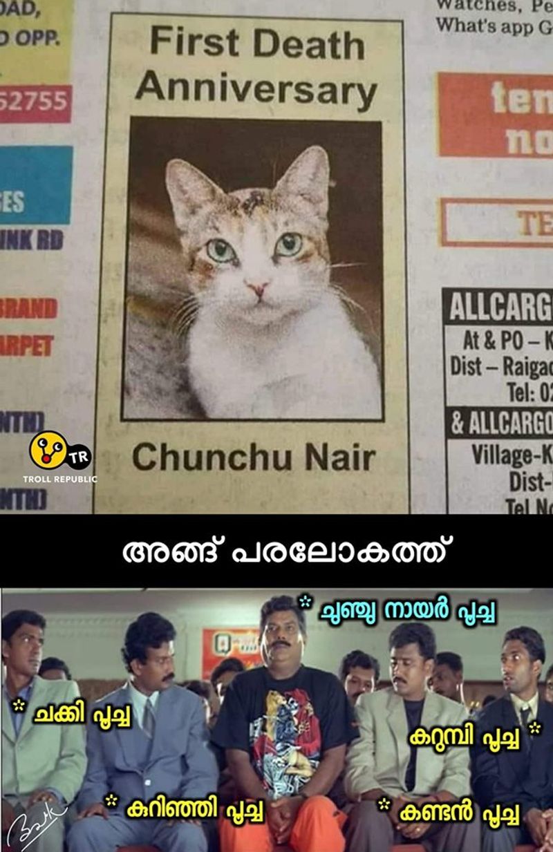 chunchu-nair