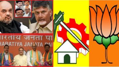 TDP Mps