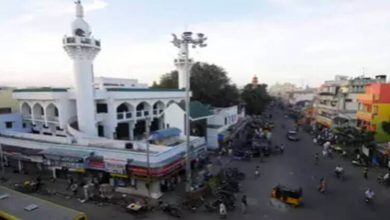 mosque in triplicane