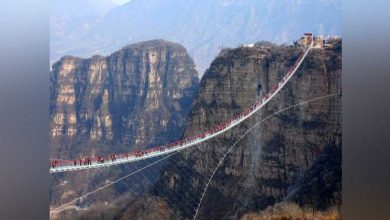 GLASS-BRIDGE-CHINA