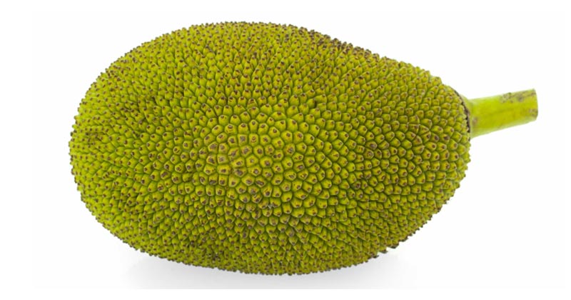 jack-Fruit