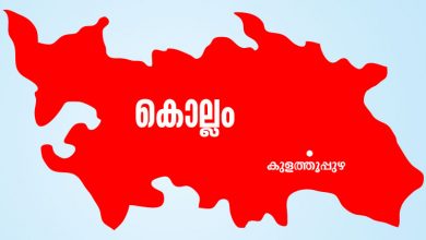 Kulathupuzha