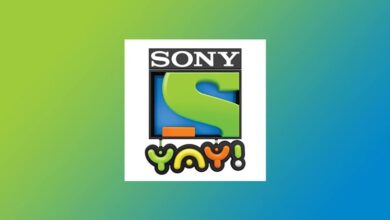 sony-yay