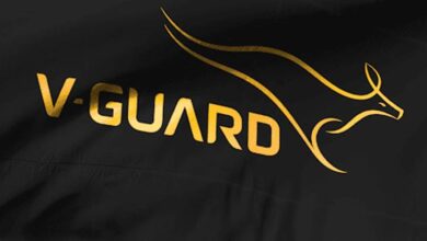 V-Guard